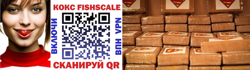 Купить  Богданович  COCAIN FishScale 