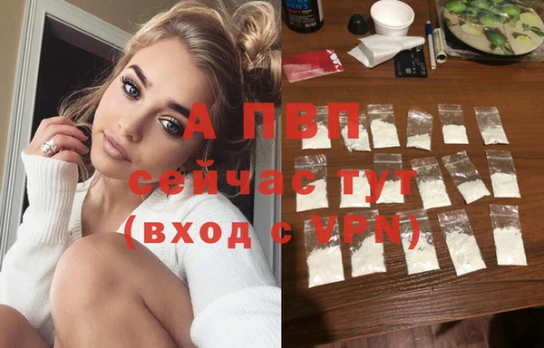 spice Арсеньев