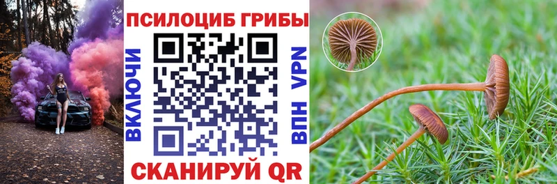 Купить где Богданович Галлюциногенные грибы ЛСД